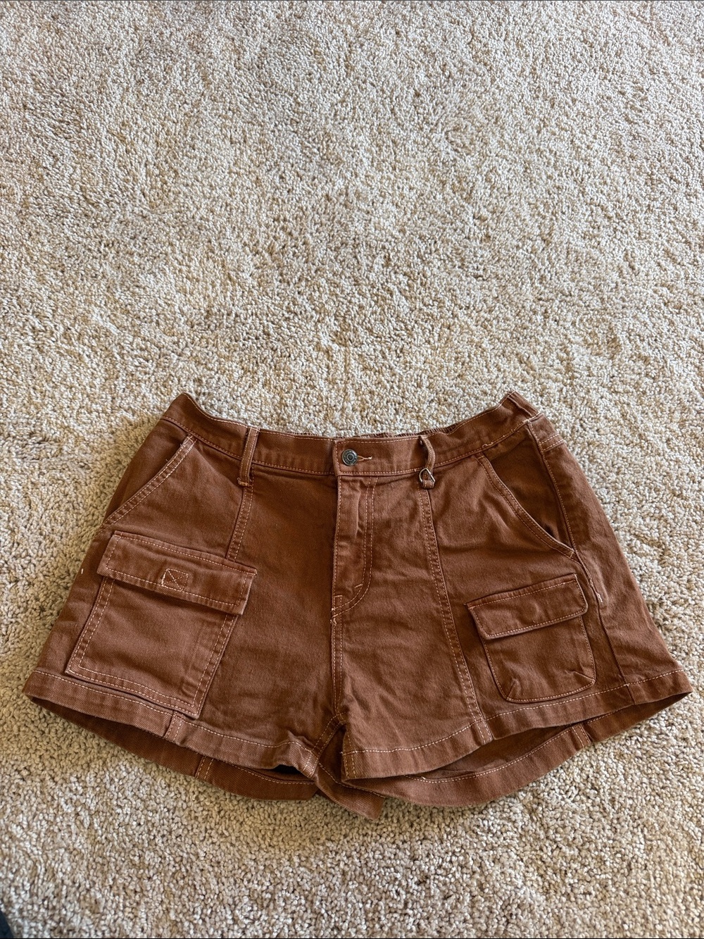wild fable Rust Brown Cargo Shorts